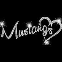 GLT6 SILVER GLITTER Thumbnail