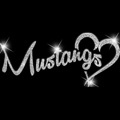 GLT6 SILVER GLITTER Thumbnail