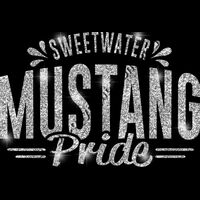 GLT62 SILVER GLITTER Thumbnail